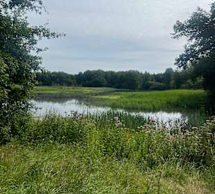 Sport & Freizeit