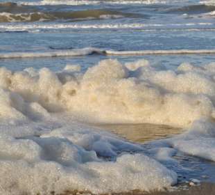 Schaumschlägerei im Winter