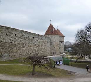 Mury Tallinna