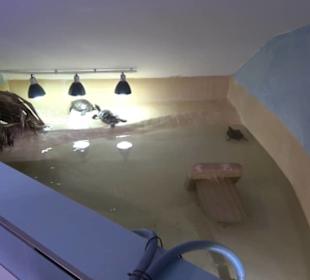 National Aquarium Malta