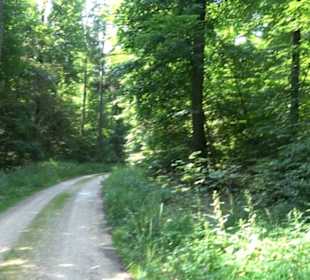 Waldlehrpfad St. Johann