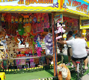 Luna Park Geschäfte