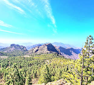 Blick ins Tal vom Roque Nublo