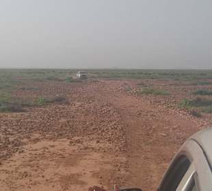 Da kommt Tcharls und überall ist es grün