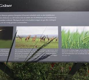 Botanischer Garten der Universität Zürich