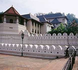 Kandy - der Zahntempel 