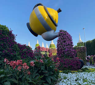 Dubai Miracle Garden