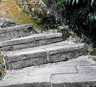 Elephant Mountain Xiangshan Hiking Trail
