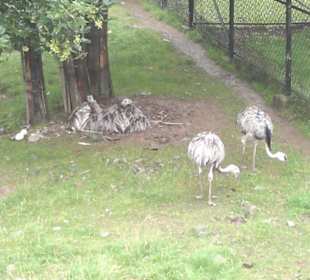 Zoo Olomouc