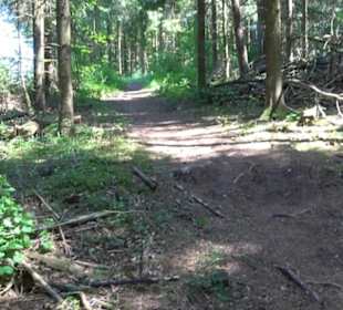 Premiumwanderweg Hochgehschätzt