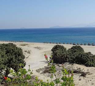 Blick zum Strand