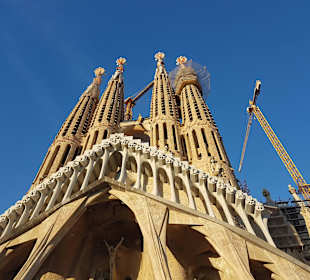 Katedra Sagrada Familia