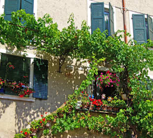 Herrlich geschmückt