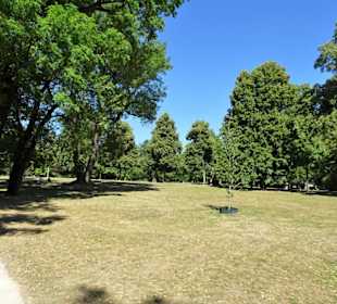 Spaziergang durch den Hofgarten Coburg