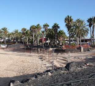 Playa Flamingo