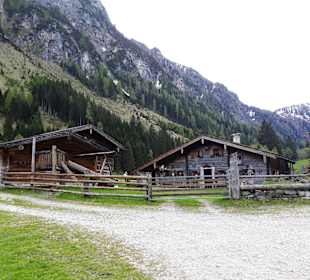 Palfneralm
