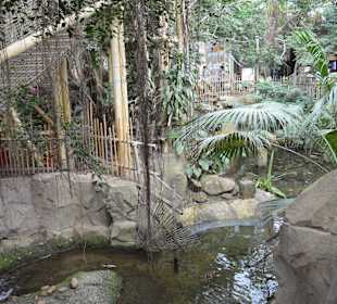Jungle Cabana