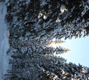 Popradské Pleso