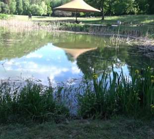 Kurpark Bad Niedernau