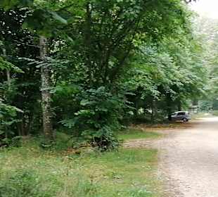 Eninger Weide