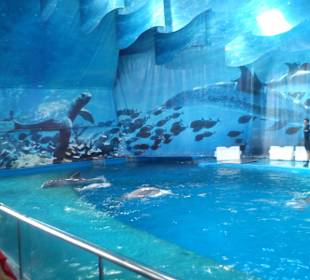 Zoo barcelona