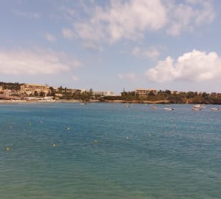 Strand Ligaria