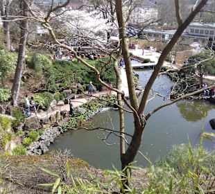 Japanischer Garten in KL