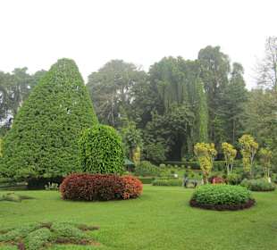 Botanischer Garten