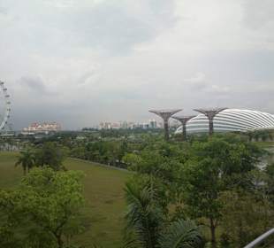 ...view to Gardens by the Bay - Singapore