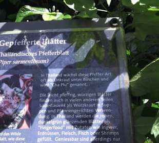 Botanischer Garten der Universität Zürich