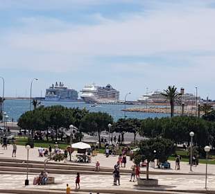 Hafen Palma de Mallorca