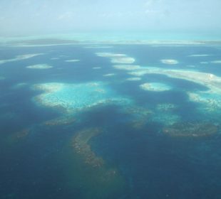 Los Roques