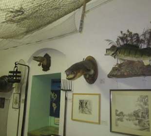 Stadt und Festungsmuseum Germersheim