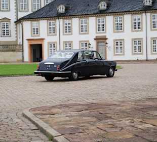 Der königliche Jaguar