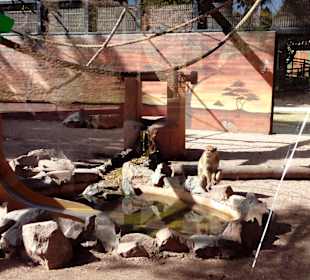 ZOO José Cruz Conde