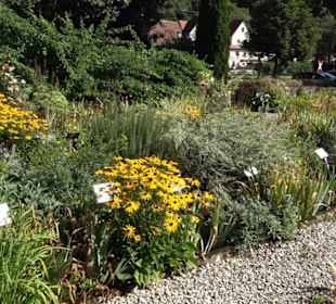 Klosterkirche Maria Gnadenzell