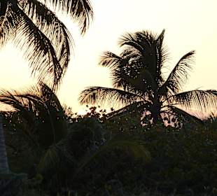 Strand Playa del Carmen