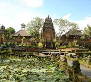 Lotus Café in Ubud 2