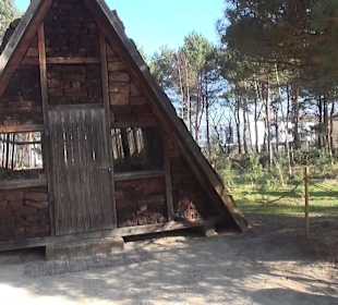 Botanischer Garten - Rombergpark