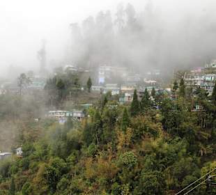 Teehaus Margaret's Deck 