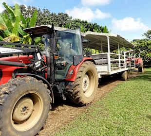 Der Traktor mit Wagen zur Rundfahrt