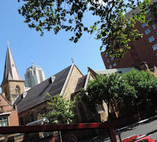 Mit dem Hop-on hop-off Bus in Sydney unterwegs