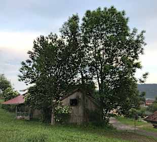 Umgebung