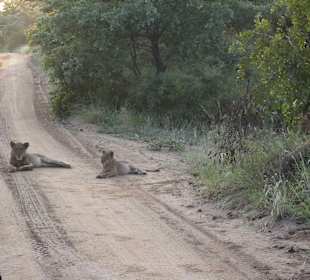 Der Stärkere gibt nicht nach