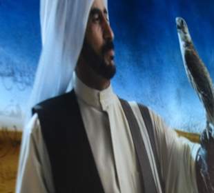 Schautafeln an der Wand