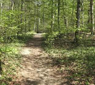 Wanderweg Hochgehwachsen