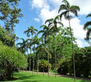 Botanischer Garten