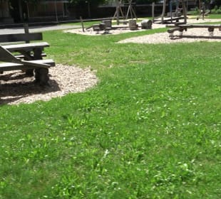 Spiel und Grillplatz Altensteig