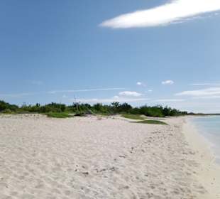 Bahia de las Aguilas