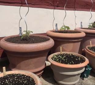 Fachwerkhaus Altenhoferstraße 3